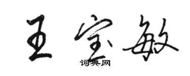 骆恒光王宝敏行书个性签名怎么写