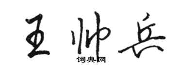 骆恒光王帅兵行书个性签名怎么写