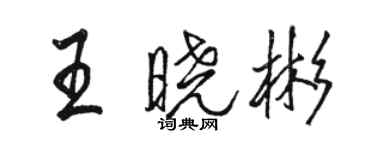 骆恒光王晓彬行书个性签名怎么写