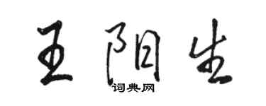 骆恒光王阳生行书个性签名怎么写