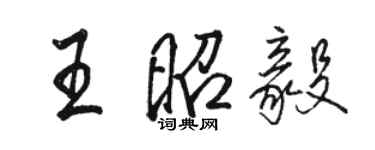 骆恒光王昭毅行书个性签名怎么写
