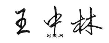 骆恒光王中林行书个性签名怎么写