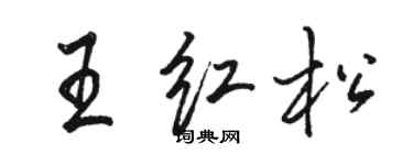 骆恒光王红松行书个性签名怎么写