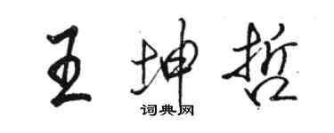 骆恒光王坤哲行书个性签名怎么写