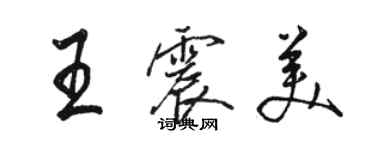 骆恒光王震美行书个性签名怎么写