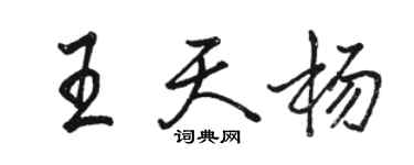 骆恒光王天杨行书个性签名怎么写