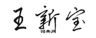 骆恒光王新宝行书个性签名怎么写