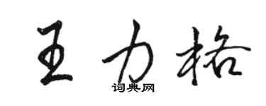 骆恒光王力格行书个性签名怎么写