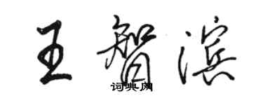 骆恒光王智滨行书个性签名怎么写