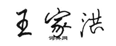 骆恒光王家洪行书个性签名怎么写