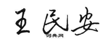 骆恒光王民安行书个性签名怎么写