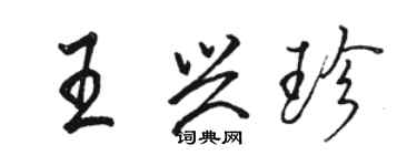 骆恒光王兴珍行书个性签名怎么写