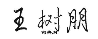 骆恒光王树朋行书个性签名怎么写