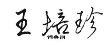骆恒光王培珍行书个性签名怎么写