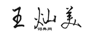 骆恒光王灿美行书个性签名怎么写