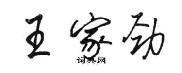 骆恒光王家劲行书个性签名怎么写