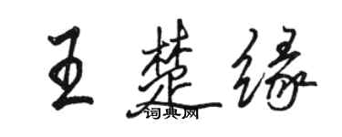 骆恒光王楚缘行书个性签名怎么写