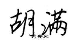 王正良胡满行书个性签名怎么写