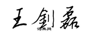 王正良王剑磊行书个性签名怎么写
