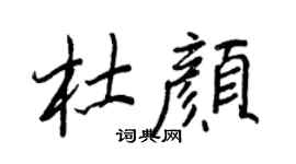 王正良杜颜行书个性签名怎么写