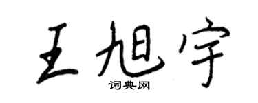 王正良王旭宇行书个性签名怎么写