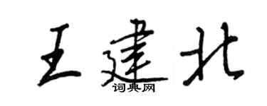 王正良王建北行书个性签名怎么写