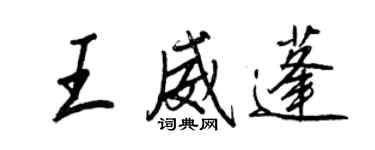 王正良王威蓬行书个性签名怎么写