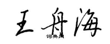 王正良王舟海行书个性签名怎么写