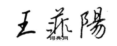 王正良王菲阳行书个性签名怎么写