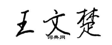 王正良王文楚行书个性签名怎么写