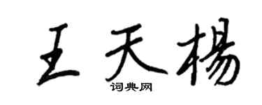 王正良王天杨行书个性签名怎么写