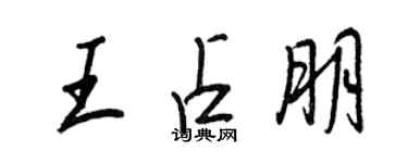 王正良王占朋行书个性签名怎么写