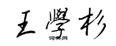 王正良王学杉行书个性签名怎么写