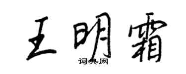 王正良王明霜行书个性签名怎么写
