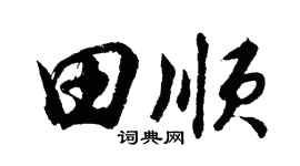 胡问遂田顺行书个性签名怎么写