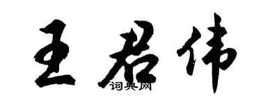 胡问遂王君伟行书个性签名怎么写