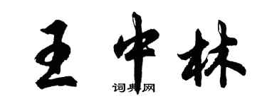 胡问遂王中林行书个性签名怎么写