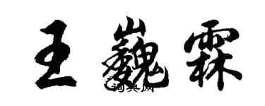 胡问遂王巍霖行书个性签名怎么写