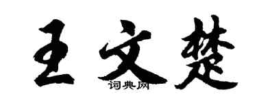 胡问遂王文楚行书个性签名怎么写