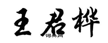 胡问遂王君桦行书个性签名怎么写