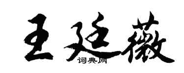 胡问遂王廷薇行书个性签名怎么写