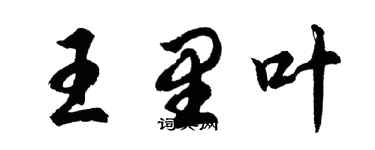 胡问遂王里叶行书个性签名怎么写