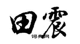 胡问遂田震行书个性签名怎么写