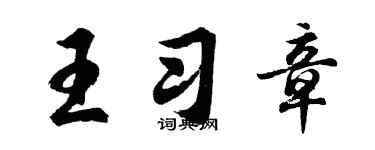 胡问遂王习章行书个性签名怎么写