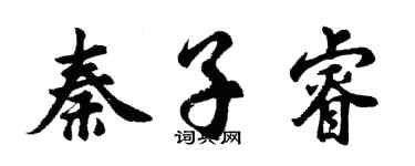 胡问遂秦子睿行书个性签名怎么写