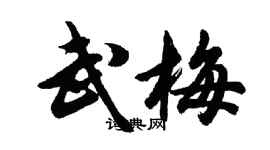 胡问遂武梅行书个性签名怎么写