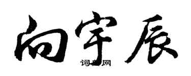 胡问遂向宇辰行书个性签名怎么写