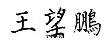 何伯昌王望鹏楷书个性签名怎么写