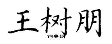 丁谦王树朋楷书个性签名怎么写
