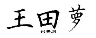 丁谦王田萝楷书个性签名怎么写